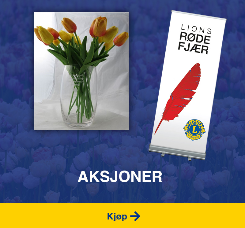 aksjoner